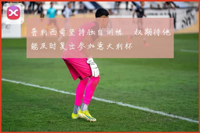 普利西奇坚持独自训练囧叔期待他能及时复出参加意大利杯