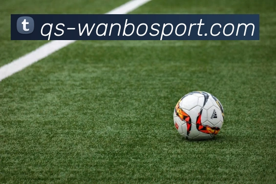 万博足球官网APP 体育赛事宣传图